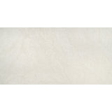 Emser Lunara 24" x 47" Honed Alcor