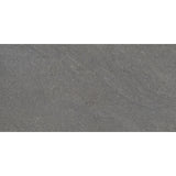 Emser Lunara 12" x 24" Honed Vega
