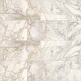 Emser Calacata 12" x 24" Honed Giallo