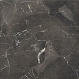 Emser St. Croix 9" x 9" Polished Brown 