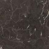 Emser St. Croix 18" x 18" Polished Brown 
