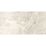 Emser Tundra 12" x 24" POLISHED Gray 