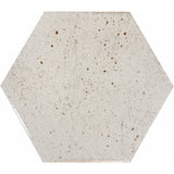 Emser Metamor 8" x 9" Hexagon Glossy Copan