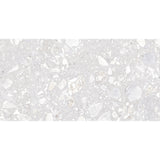 Emser Mixt 2.0 12" x 24" Pebble R11 Light