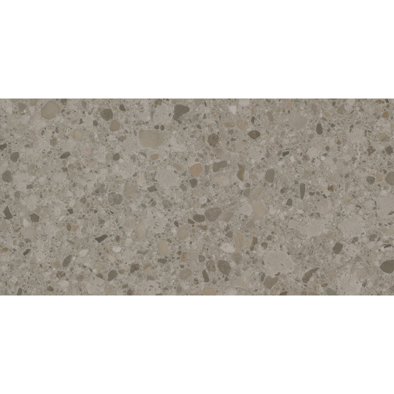 Emser Mixt Flake 12" x 24" Matte Greige