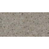 Emser Mixt Flake 12" x 24" Matte Greige