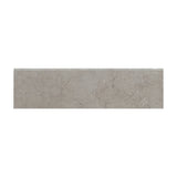 Emser Network 3" x 12" Bullnose Gray