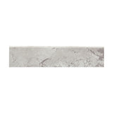 Emser Newport 3" x 12" Bullnose Ferry
