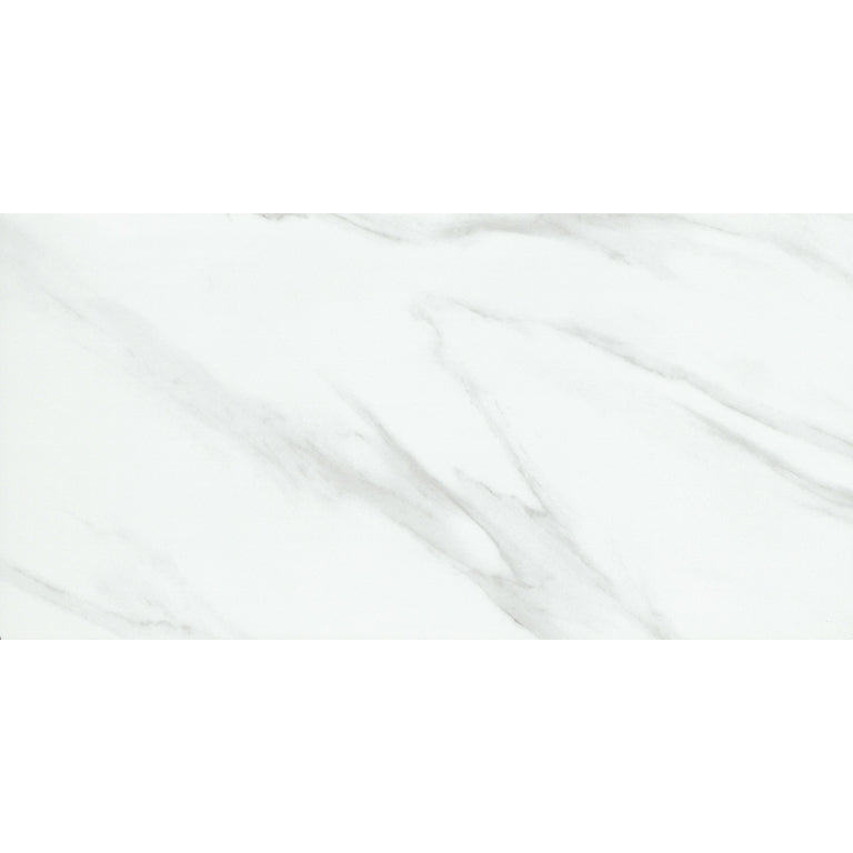 Emser Nobleza 24" x 47" Matte Astorga