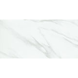 Emser Nobleza 24" x 47" Matte Astorga