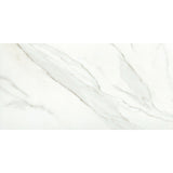 Emser Nobleza 24" x 47" Matte Lugo