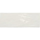 Emser Pigmenta 3" x 8" Polished  Achro