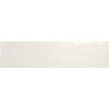 Emser Pigmenta 3" x 12" Polished  Achro