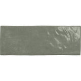 Emser Pigmenta 3" x 8" Polished  Dye