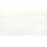 Emser Prodigy 24" x 47" Matte Agnesi