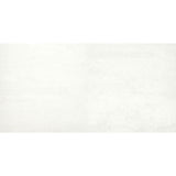 Emser Prodigy 24" x 47" Polished Agnesi