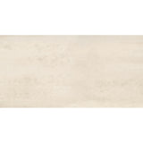 Emser Prodigy 24" x 47" Matte Cruz