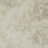 Emser Silque 24" x 24" Honed Classic 