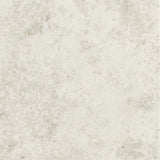 Emser Silque 47" x 47" Honed Light 