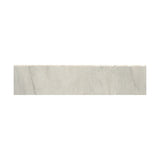 Emser Technique 3" x 12" Bullnose Ivory 
