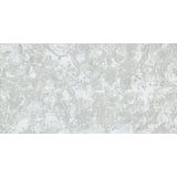 Emser Unified 24" x 47" Tapiz Matte  Gray 