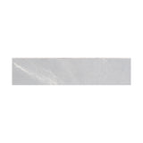 Emser Vernon 3" x 12" Bullnose Silver 